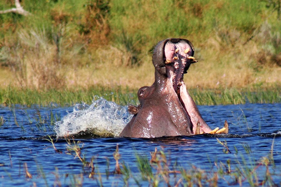9 Days Africa Lodge Safari Package