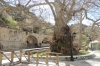 UNKNOWN MOUNTAINS AND FANTASTIC LASITHI PLATEAUS TRAIL