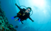 Kos Diving: 5-hour Kos Scuba Diving Class for Beginners