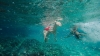 Chios: Full-Day Sailing Cruise with Snorkeling & Lunch