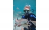 Kos Diving: 5-hour Kos Scuba Diving Class for Beginners