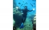 Kos Diving: 5-hour Kos Scuba Diving Class for Beginners