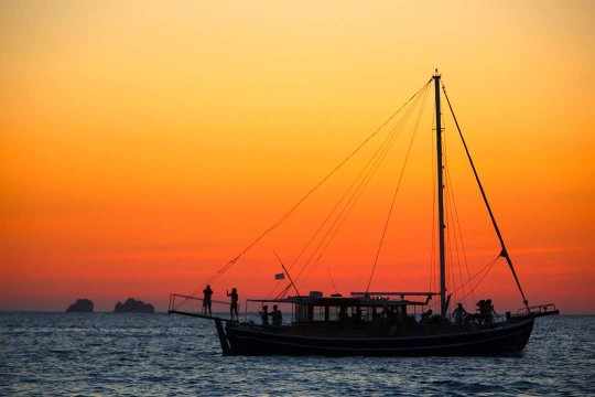 SUNSET TRIPS