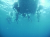 Scuba diving  at Samothraki