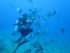 Discovery scuba diving to Alexandroupoli