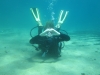 Discovery scuba diving to Alexandroupoli