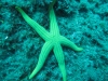 Discovery scuba diving to Alexandroupoli