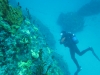 Scuba diving  at Samothraki