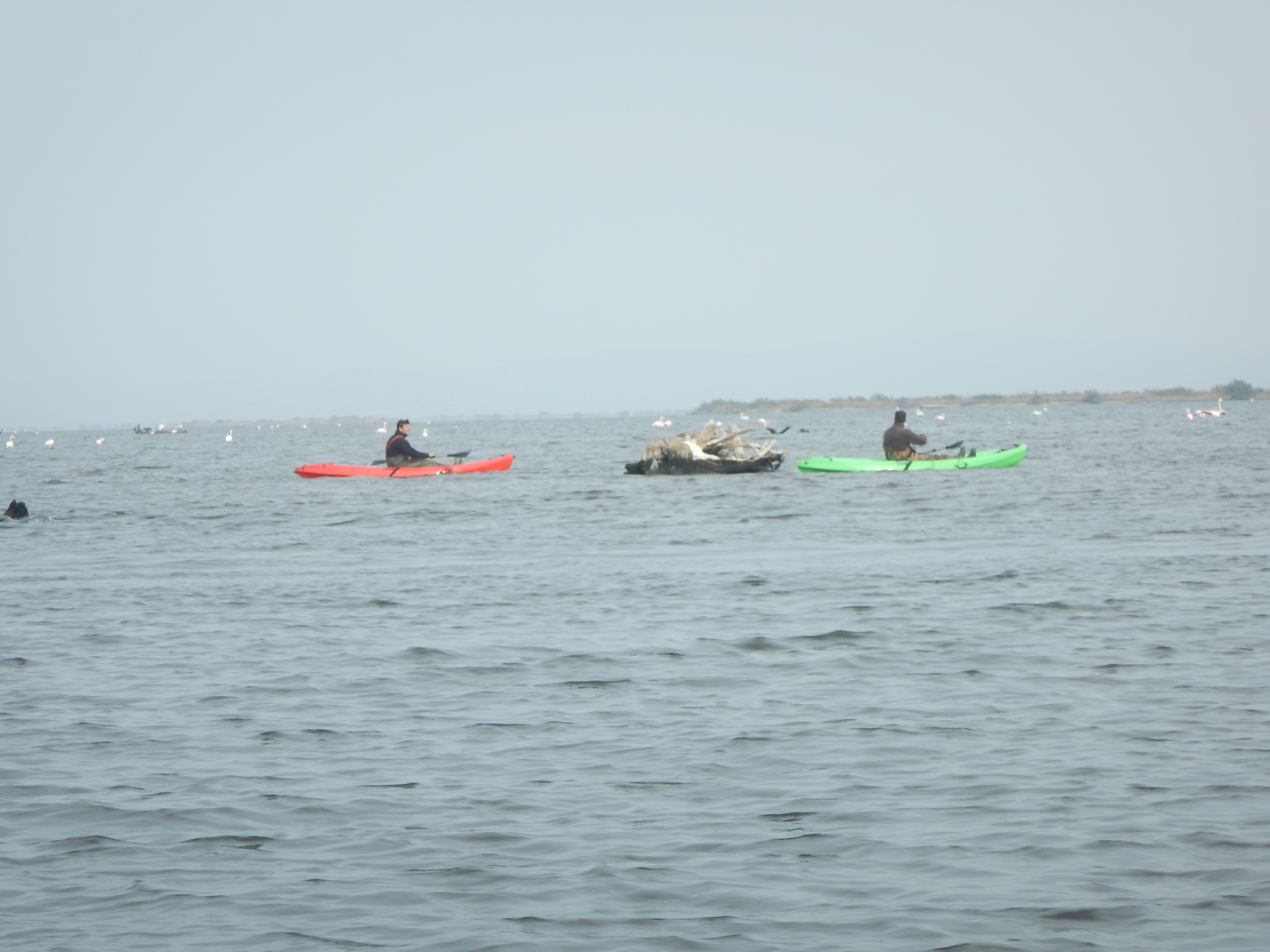 Kano kayak  at Evros river 