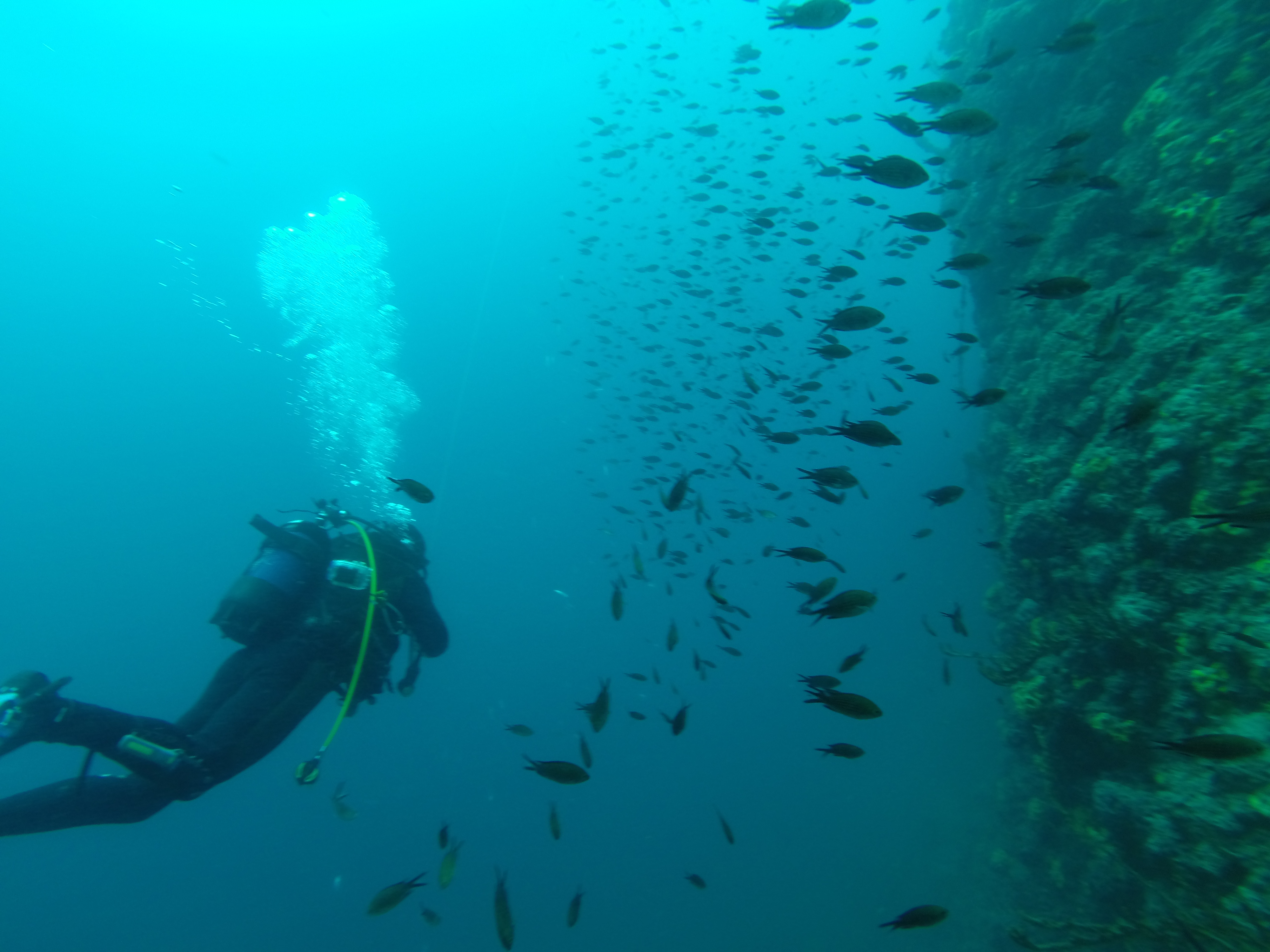 Scuba diving  at Samothraki