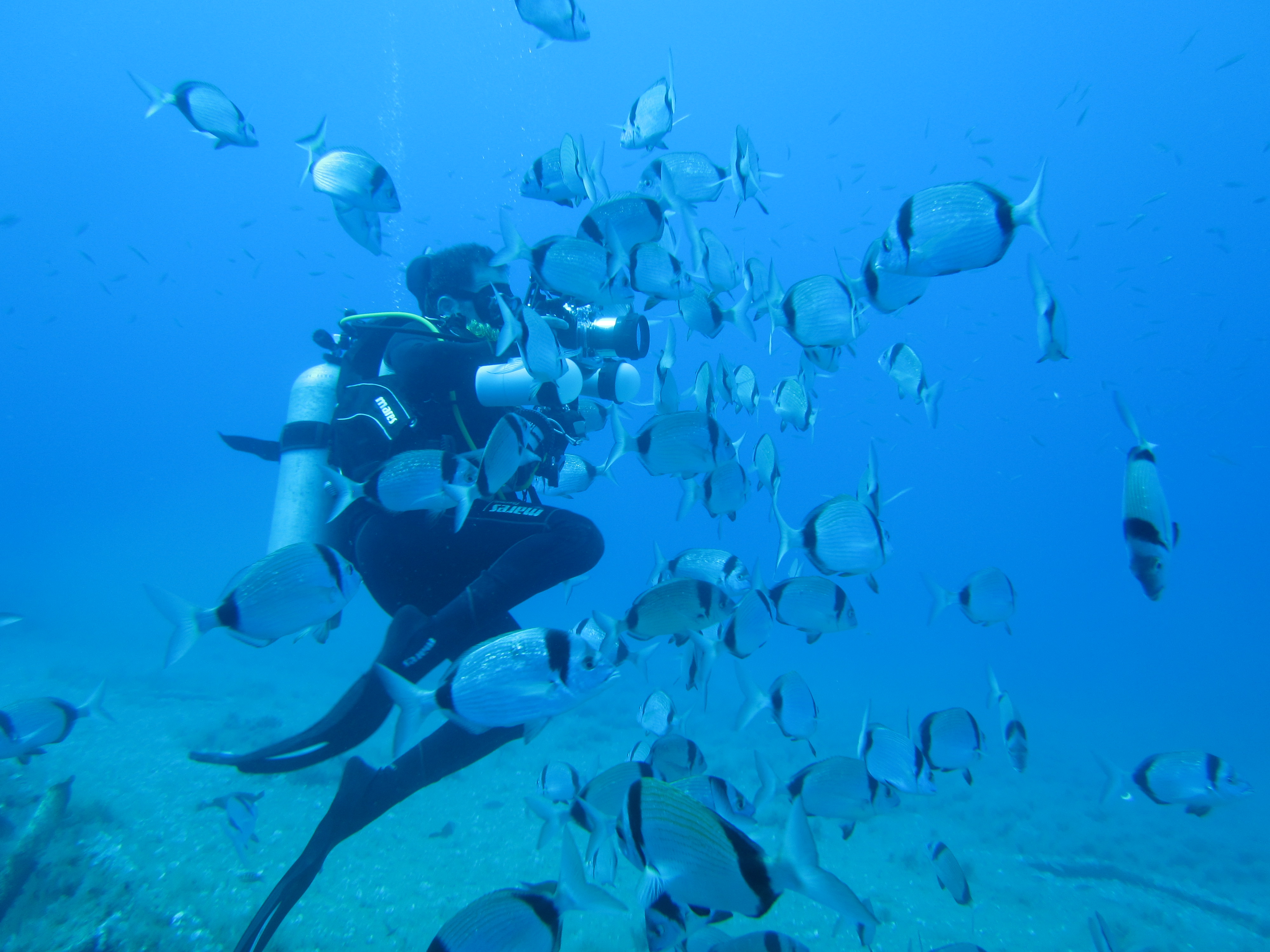 Discovery scuba diving to Alexandroupoli