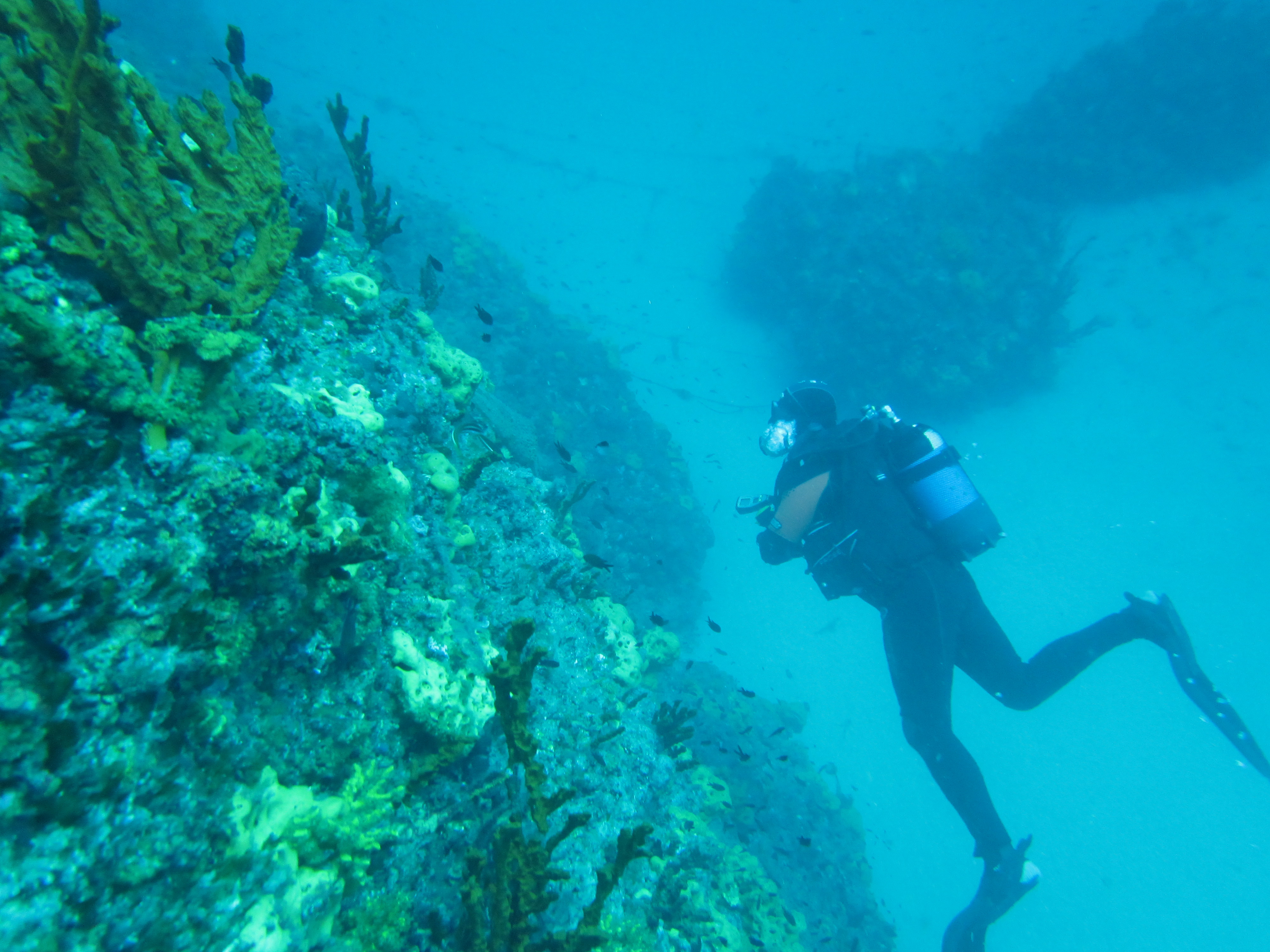 Scuba diving  at Samothraki