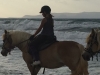 Horseback riding to the beach!