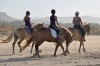 Horseback riding to the beach!