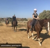 Horseback riding to the beach!