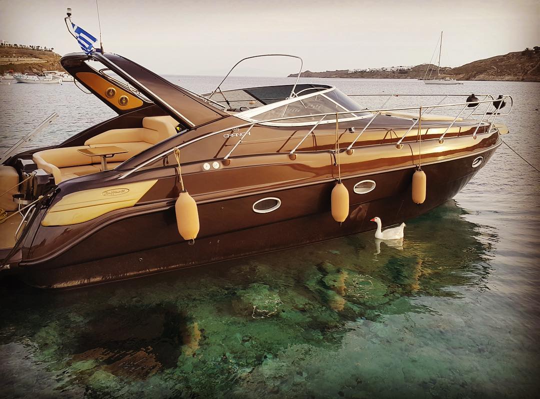 HERMES 38 HALF Day Cruise from Mykonos to Delos and Rhenia islands