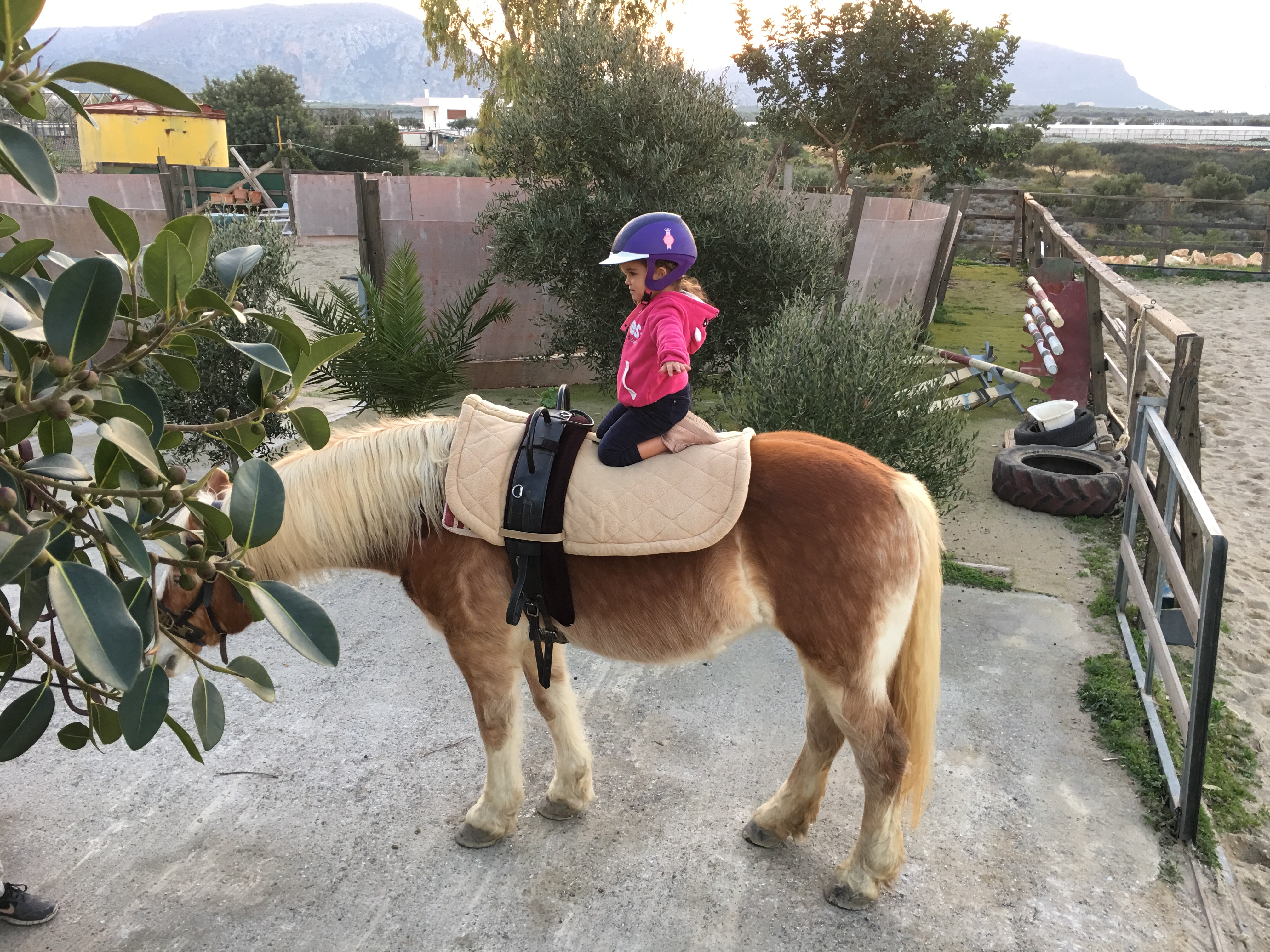 Horseback riding to the beach!