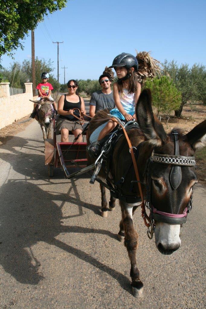 Horseback riding to the beach!