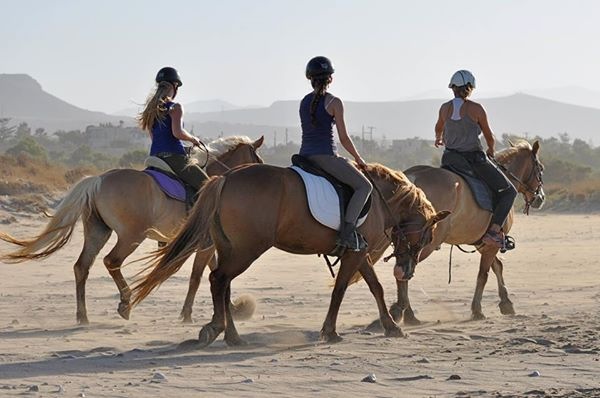 Horseback riding to the beach!