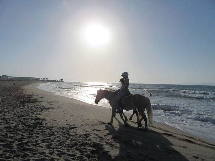 Horseback riding to the beach!