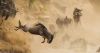 Kenya Masai Mara Safaris and Tours