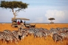 Kenya Masai Mara Safaris and Tours