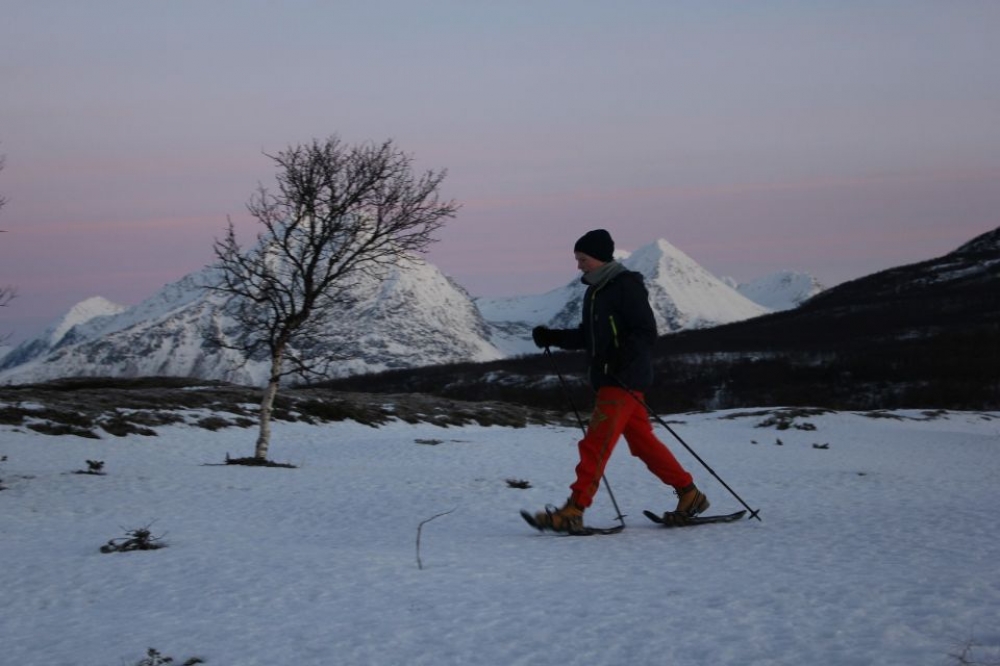 Tromso Arctic Snowshoe Hiking Experience, Norway