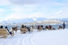 Tromso Reindeer Sledding: Half-day Reindeer Sledding Tour with Sami Culture & Lunch from Tromso