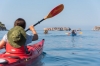 Pylos Kayaking: Half-day Navarino Bay Kayaking Tour near Kalamata