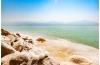 Amman: Half-Day Private Tour to the Dead Sea - 2020 