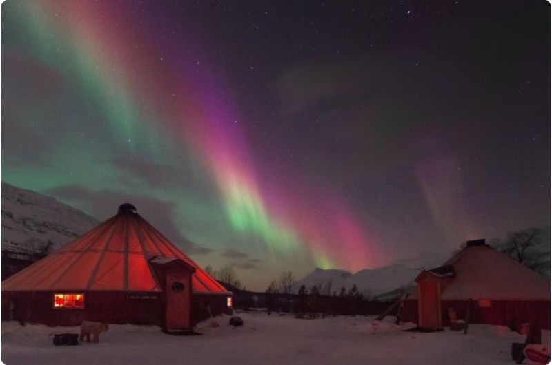 Tromso Northern Lights Tour: 7-hour Northern Lights Hunt Tour from Tromso by bus