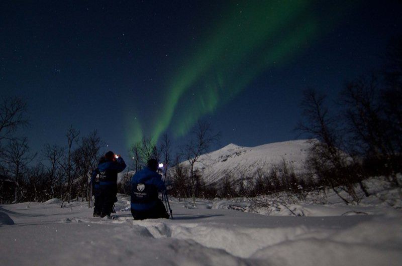 Tromso Northern Lights Tour: 7-hour Northern Lights Hunt Tour from Tromso by bus