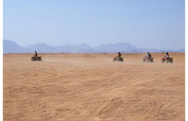 Marsa Alam Quad Tour: 3-hour Morning Quad Tour & Bedouin Experience from Marsa Alam