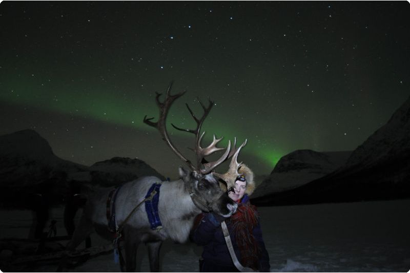 Tromso Reindeer Sledding: Full-day Sami Culture and Reindeer Sledding Experience