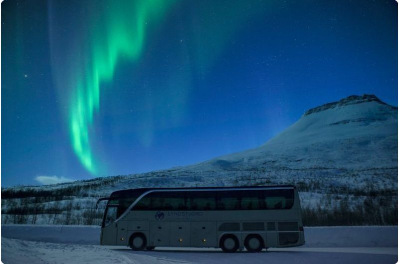 Tromso Northern Lights Tour: 7-hour Northern Lights Hunt Tour from Tromso by bus