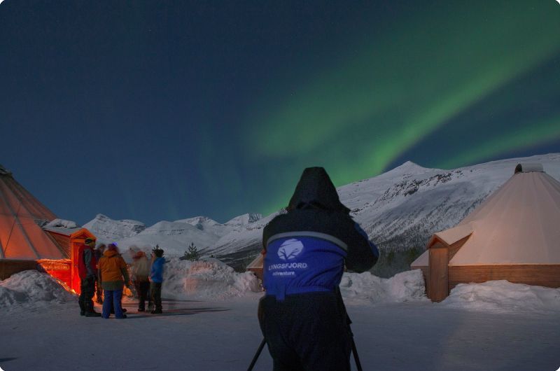 Tromso Northern Lights Tour: 7-hour Northern Lights Hunt Tour from Tromso by bus