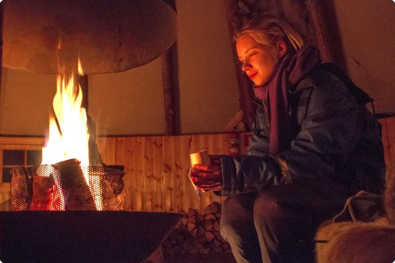 Tromso Reindeer Sledding: Full-day Sami Culture and Reindeer Sledding Experience