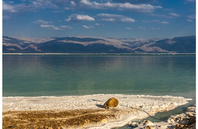 Amman: Half-Day Private Tour to the Dead Sea - 2020 