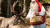 Santa Claus Village: Half-Day Santa Claus Village Tour from Rovaniemi 