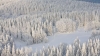 Lapland safari: 3-hour Quad Bike Ride in the Arctic from Rovaniemi 