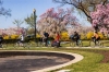 Washington DC Bike Tour: Monuments and Memorials Highlights