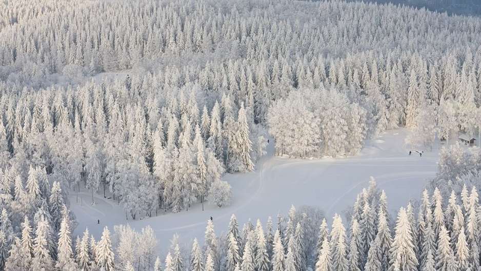 Lapland safari: 3-hour Quad Bike Ride in the Arctic from Rovaniemi 