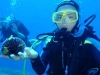 Diving in Greece: Karystos Discover Scuba Diving Class