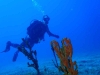 Diving in Greece: Karystos Discover Scuba Diving Class