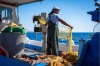 Santorini Fishing Tour: 4-hour Fishing Tour and Fresh Fish Lunch Cooked Onboard