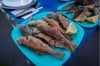 Santorini Fishing Tour: 4-hour Fishing Tour and Fresh Fish Lunch Cooked Onboard