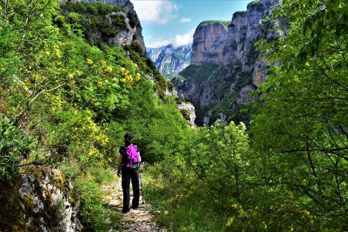 Vikos Gorge Hiking: Full-day Vikos Gorge Guided Hiking Tour 