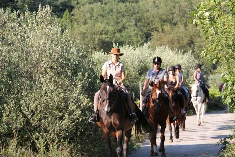 Dubrovnik Horse Riding: Half-Day Horse Riding Tour from Dubrovnik 