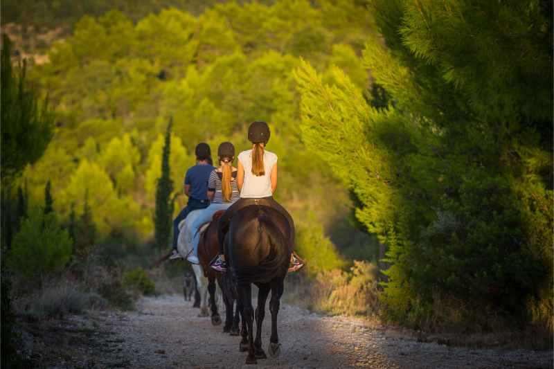 Dubrovnik Horse Riding: Half-Day Horse Riding Tour from Dubrovnik 