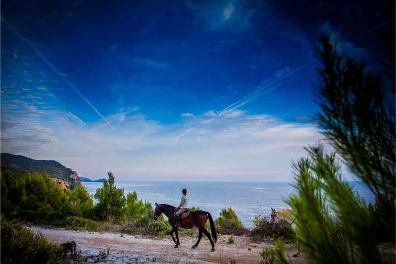 Dubrovnik Horse Riding: Half-Day Horse Riding Tour from Dubrovnik 